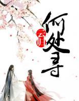 云歸何處尋