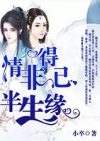 情非得已半生緣