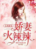 總裁霸寵：嬌妻火辣辣
