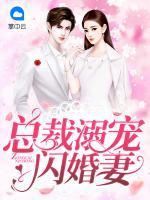 總裁溺寵閃婚妻