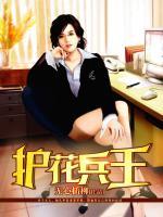 護花兵王