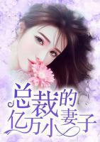 總裁的億萬小妻子