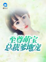 至尊萌寶：總裁爹地寵