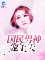 國民男神寵上天