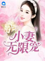 小妻無限寵