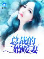 總裁的二婚暖妻