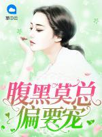 腹黑莫總偏要寵
