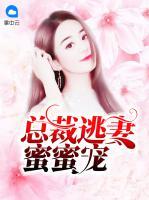 總裁逃妻蜜蜜寵