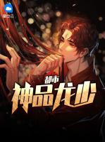 都市神品龍少