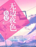 你是無(wú)邊夜色