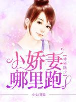 神秘陸少：小嬌妻，哪里跑