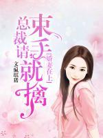 嬌妻在上：總裁請(qǐng)束手就擒