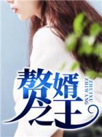贅婿之王