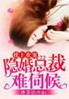 枕上歡寵：隱婚總裁難伺候