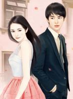 神醫(yī)龍婿