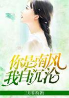 你是南風(fēng)，我自沉淪
