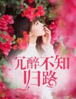 沉醉不知?dú)w路