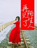 再見(jiàn)了，陌生人