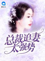 總裁追妻太強勢