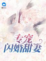 專寵閃婚甜妻
