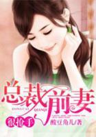 總裁前妻很搶手！