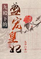九殿下的盛寵皇妃