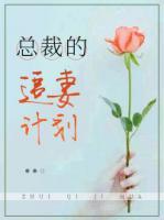 總裁的追妻計劃