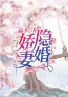 隱婚嬌妻