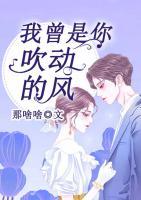 我曾是你吹動(dòng)的風(fēng)