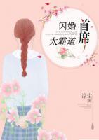 閃婚首席太霸道