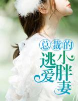總裁的逃愛小胖妻