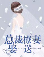 總裁撩妻，娶一送一