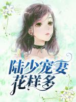 陸少寵妻花樣多