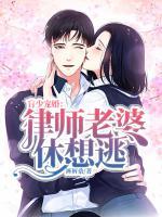 盲少寵婚：律師老婆休想逃