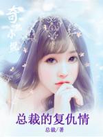 總裁的復仇情