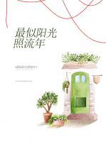 最似陽(yáng)光照流年