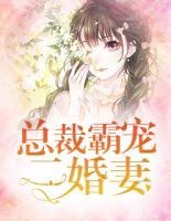總裁霸寵二婚妻