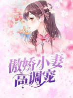 傲嬌小妻高調寵