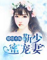 婚情不悔：靳少蜜寵妻