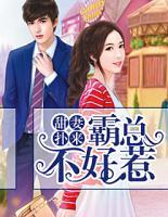 甜妻撲來：霸總不好惹