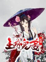 王府寵妾紀(jì)事