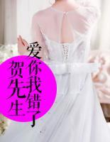 賀先生，愛你我錯了
