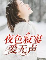 夜色寂寥愛無(wú)聲