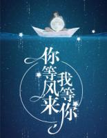 你等風來我等你
