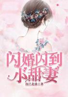 閃婚閃到小甜妻