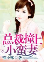 總裁撞上小蠻妻