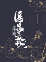 醫(yī)品毒妃寵上癮