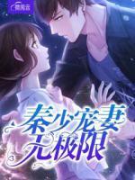 秦少寵妻無極限