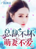 總裁不壞萌妻不愛(ài)
