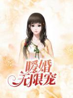 暖婚無(wú)限寵